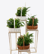 Potted Plant Basket