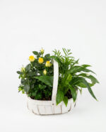 Potted Plant Basket - Image 2