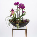 Orchid Garden Planter