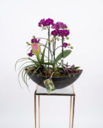 Orchid Garden Planter