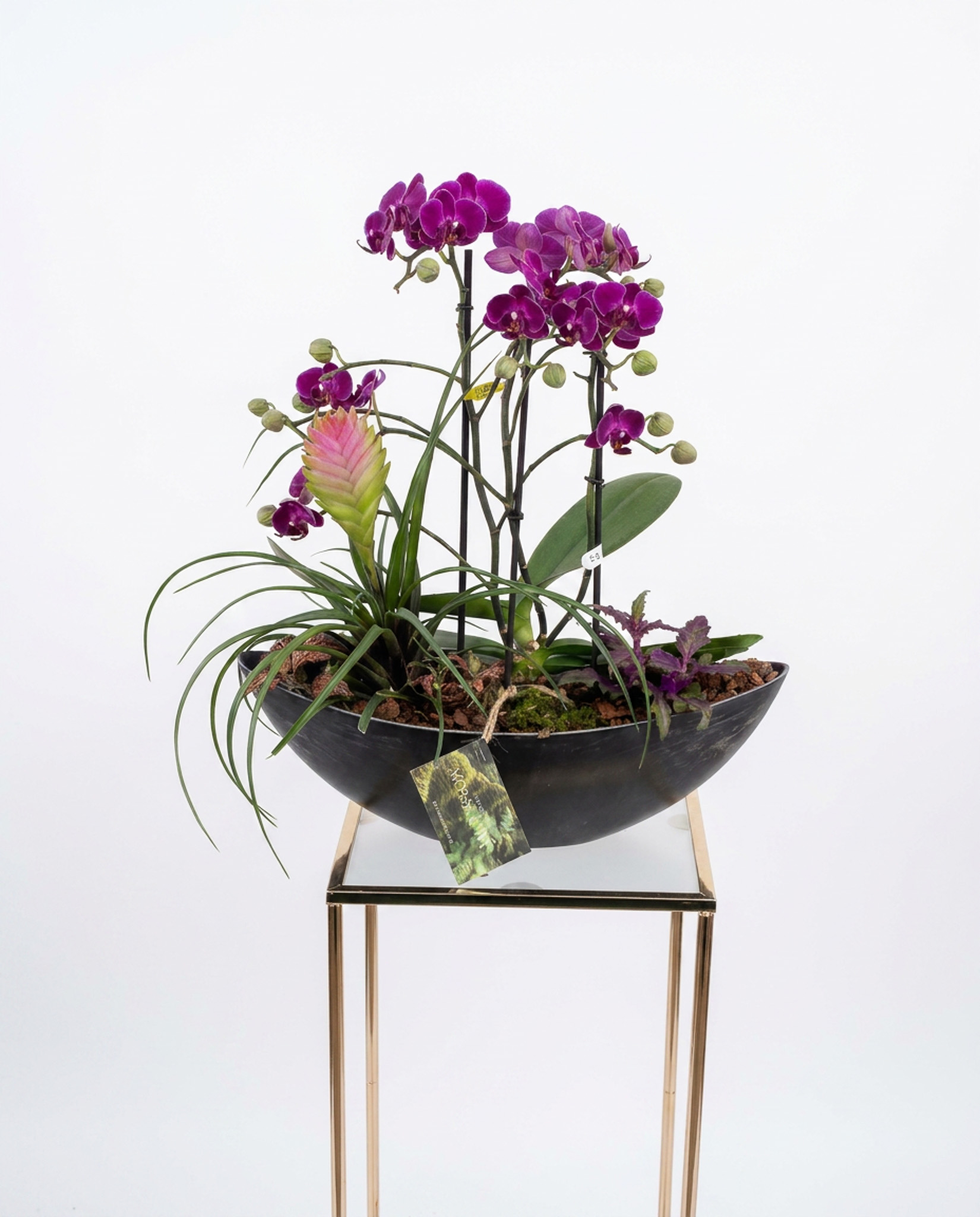 Glass Vase (7) moss&ivy florist Bedford, weeding flowers, birthday flowers floristmossandivy Orchid Garden Planter - Image 1