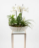 Orchid Garden Planter - Image 2